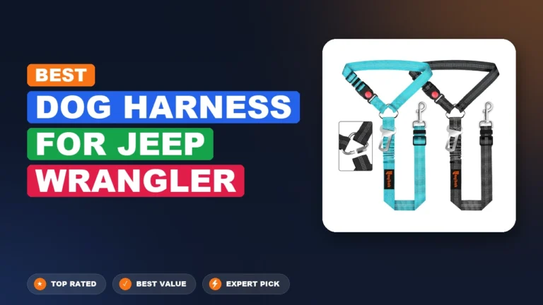 10 Best Dog Harness For Jeep Wrangler 2026 – Expert Picks & Ranked